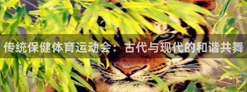 678体育app：传统保健体育运动会：古代与现代的和谐共舞