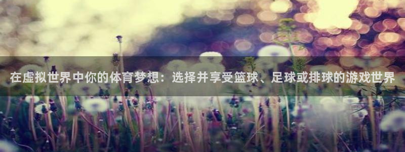 678体育app：在虚拟世界中你的体育梦想：选择并享受篮球、足球或排球的游戏世界
