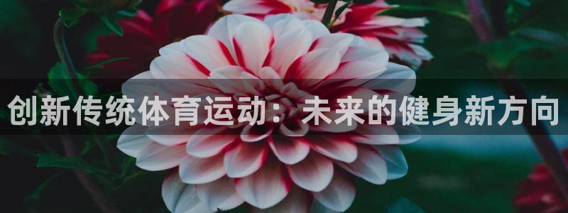 678体育：创新传统体育运动：未来的健身新方向