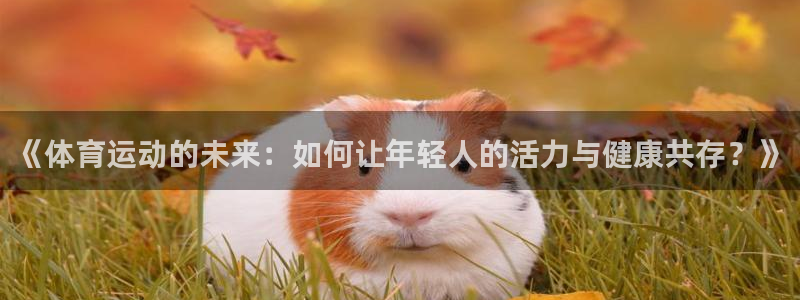 678体育官网：《体育运动的未来：如何让年轻人的活力与健康共存？》