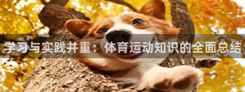 皇冠678体育：学习与实践并重：体育运动知识的全面总结