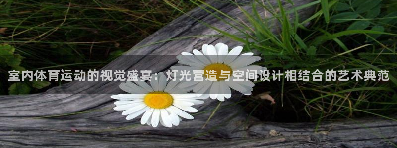 678体育官网：室内体育运动的视觉盛宴：灯光营造与空间设计相结合的艺术典范