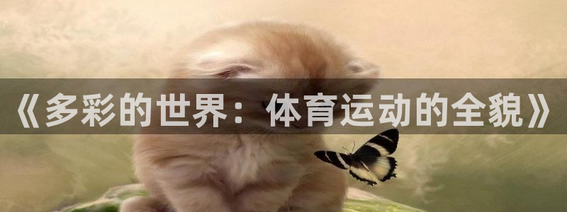 678体育官网下载：《多彩的世界：体育运动的全貌》
