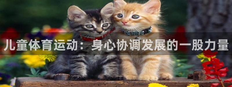 皇冠678体育：儿童体育运动：身心协调发展的一股力量