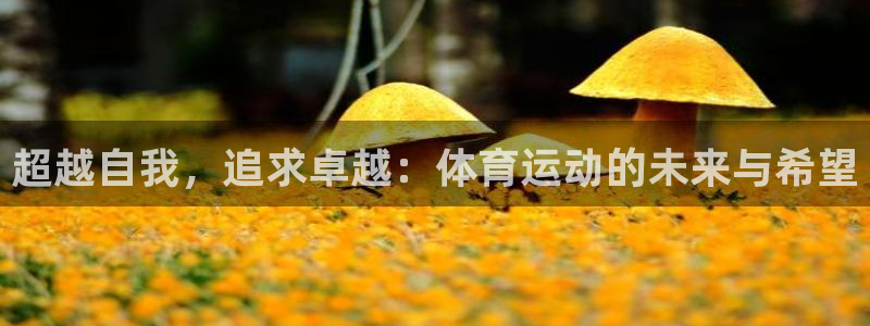 678体育app：超越自我，追求卓越：体育运动的未来与希望