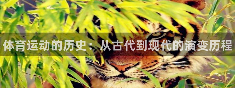 678体育官网下载：体育运动的历史：从古代到现代的演变历程