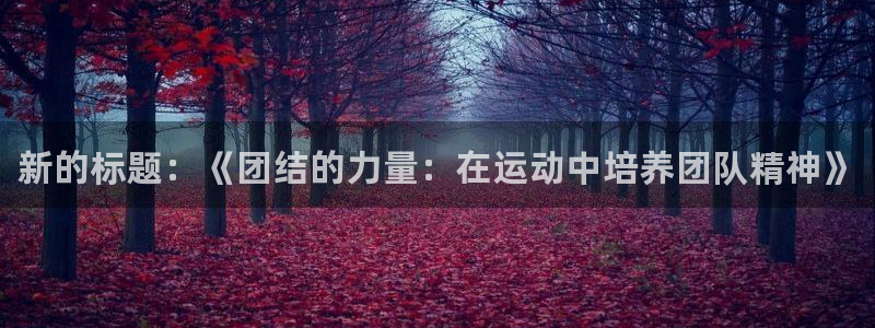 678体育官网：新的标题：《团结的力量：在运动中培养团队精神》