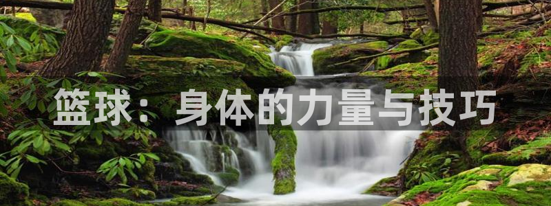 678体育知识：篮球：身体的力量与技巧