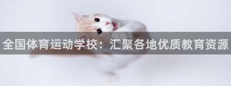 678体育app：全国体育运动学校：汇聚各地优质教育资源