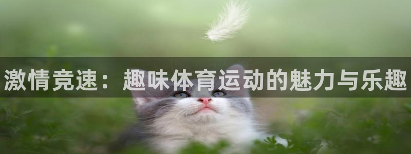 678体育知识：激情竞速：趣味体育运动的魅力与乐趣