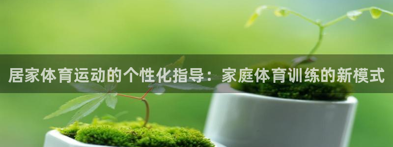 678体育官网：居家体育运动的个性化指导：家庭体育训练的新模式
