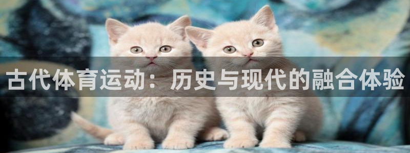 678体育官网地址：古代体育运动：历史与现代的融合体验