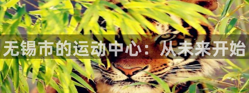 678体育官网下载：无锡市的运动中心：从未来开始