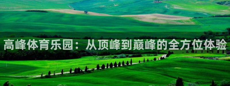 678体育app：高峰体育乐园：从顶峰到巅峰的全方位体验