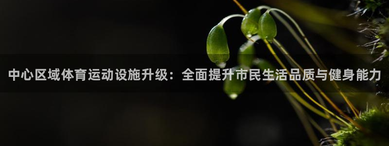 678体育：中心区域体育运动设施升级：全面提升市民生活品质与健身能力