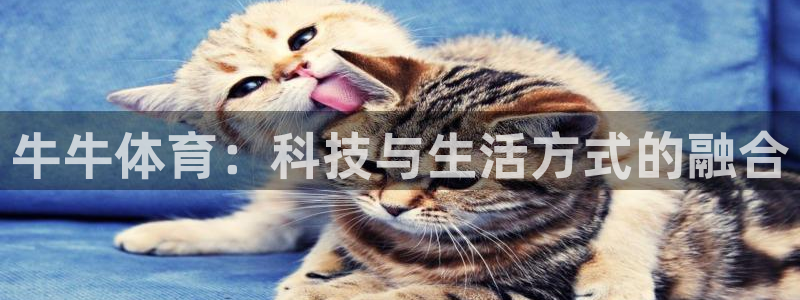 678体育官网地址：牛牛体育：科技与生活方式的融合