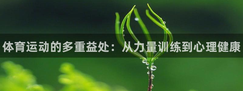 678体育：体育运动的多重益处：从力量训练到心理健康