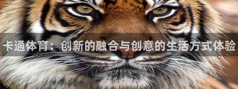 678体育官网下载：卡通体育：创新的融合与创意的生活方式体验
