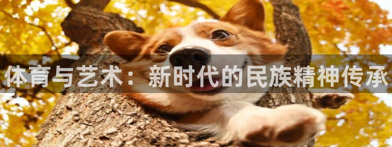 678体育官网下载：体育与艺术：新时代的民族精神传承