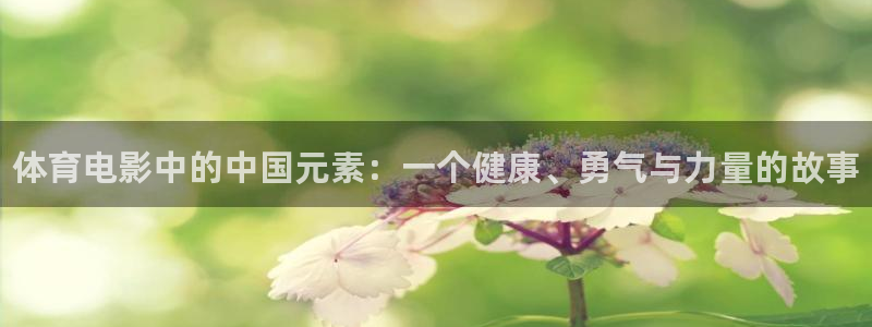 678体育官网下载：体育电影中的中国元素：一个健康、勇气与力量的故事
