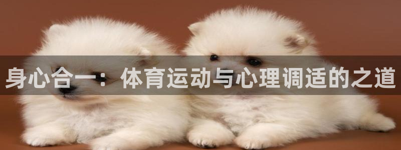 678体育：身心合一：体育运动与心理调适的之道