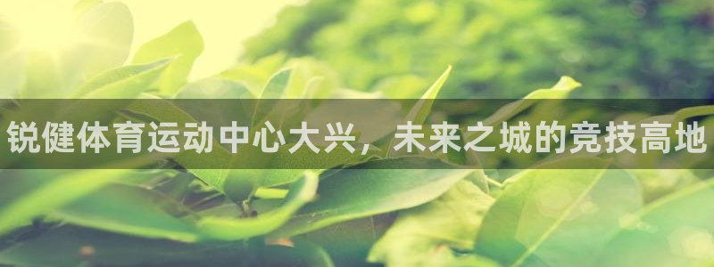 678体育：锐健体育运动中心大兴，未来之城的竞技高地