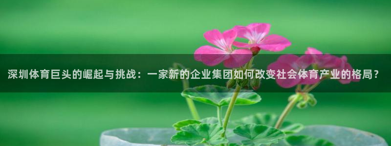 678体育app：深圳体育巨头的崛起与挑战：一家新的企业集团如何改变社会体育产业的格局？