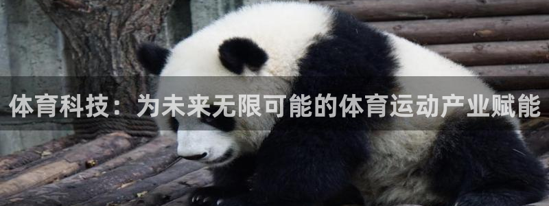 678体育官网地址：体育科技：为未来无限可能的体育运动产业赋能