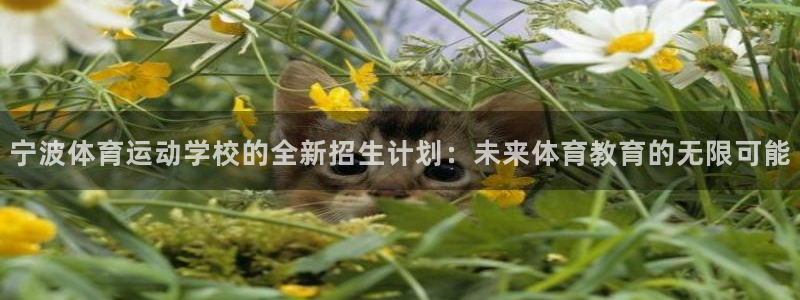 678体育官网：宁波体育运动学校的全新招生计划：未来体育教育的无限可能