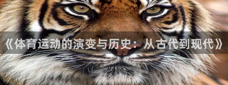 678体育：《体育运动的演变与历史：从古代到现代》