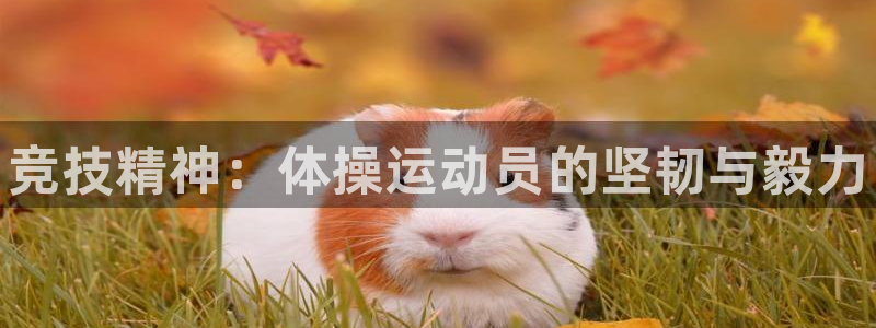678体育知识：竞技精神：体操运动员的坚韧与毅力