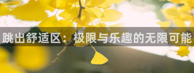 678体育：跳出舒适区：极限与乐趣的无限可能