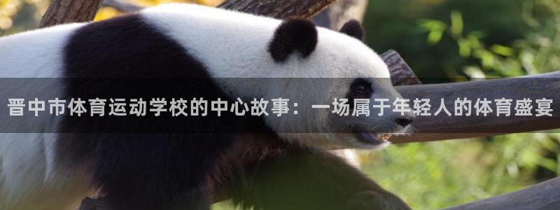 678体育官网下载：晋中市体育运动学校的中心故事：一场属于年轻人的体育盛宴
